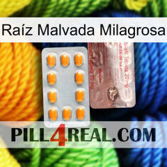 Raíz Malvada Milagrosa new13